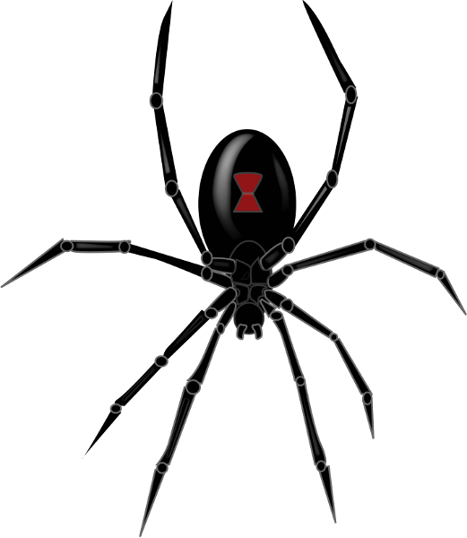 kisspng-southern-black-widow-redback-spider-drawing-clip-a-spider-png-file-5a71c102ea9313.2777939415174044189608.png.a822d813a7a2dcd0e373906614edabd4.png