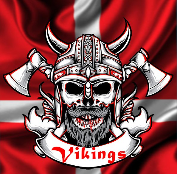 Vikinglogo.jpg.70e863c1643fa4d9958d0267b45400c7.jpg