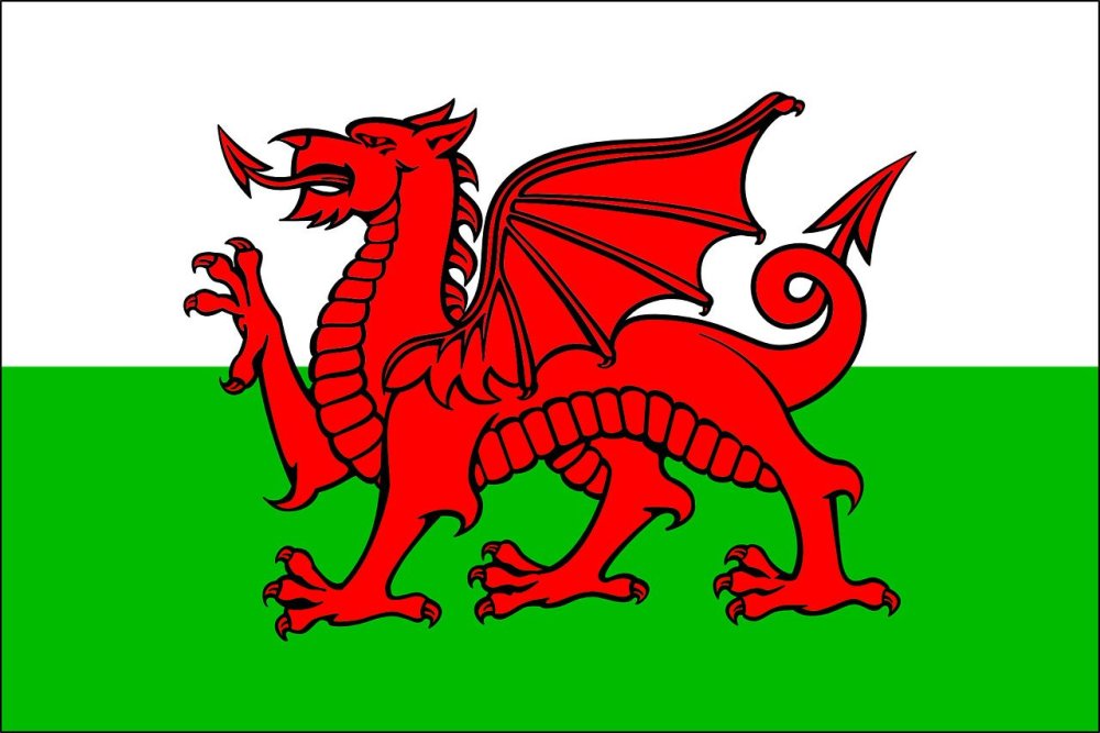 Baner-Cymru-Y-Ddraig-Goch-Welsh-Flag-The-Red-Dragon.thumb.jpg.05dc0e1387dc37214cbc4c1fba82c253.jpg