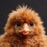 ChickenNuggets