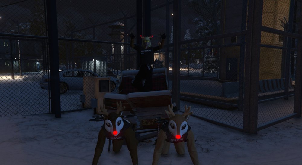 Deers.jpg