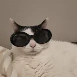 angelbowers